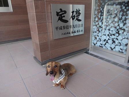 在宅医療求人